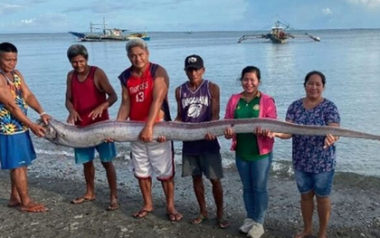 Đang đi dạo biển, người dân bỗng phát hiện cảnh tượng "nổi da gà" giữa ban ngày