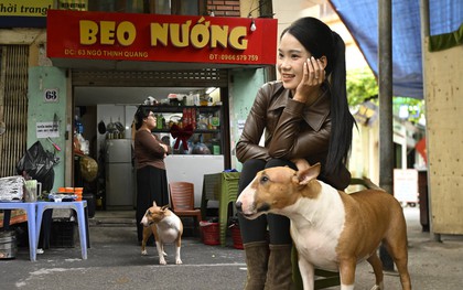 Khách xếp hàng từ sớm để gặp chú chó "nuôi được cả chủ" ở Hà Nội