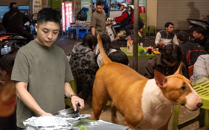 [Clip] Gặp chủ quán nướng hot nhất Hà Nội đêm nay: Chỉ sợ "không kham nổi"