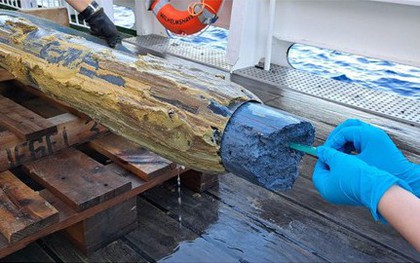 Phát hiện sự sống kỳ lạ ở "tử địa" của Trái Đất