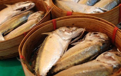 3 phần nhiều kim loại nặng nhất trên thịt cá