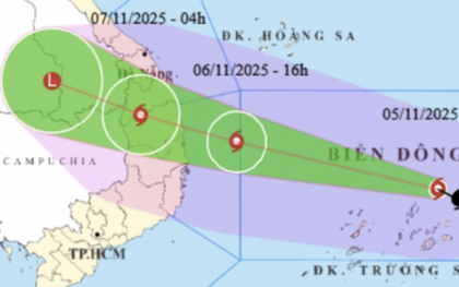 TP HCM yêu cầu các đơn vị trực chiến, sẵn sàng ứng phó bão Kalmaegi