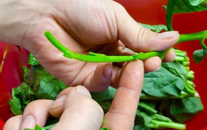 1 món rau “nhớt như dầu” nhưng người Nhật lại thích vì giúp trẻ lâu và ngừa ung thư, ở Việt Nam chợ nào cũng có