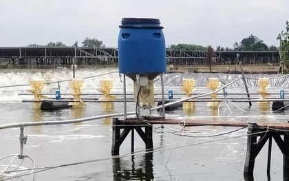 Phát hiện chồng và con nuôi tử vong dưới ao tôm