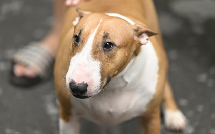 Không quay phim, chụp ảnh “cậu Vàng Mr. Gold” ngoài đời