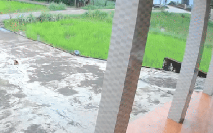 Đã rõ nguyên nhân vụ nổ kinh hoàng giữa ruộng lúa ở Quảng Trị