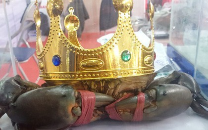 "Vua cua" Cà Mau năm 2022 giờ ra sao?