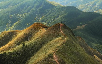 Ngoài biển, Quảng Ninh còn có 1 vùng núi nhiều người chưa biết: Đang vào mùa đẹp nhất, cảnh như phim