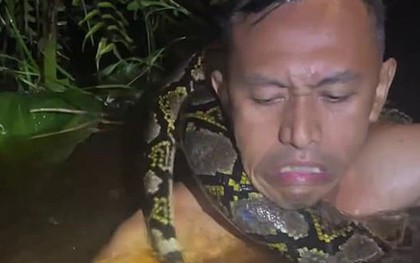 Cảnh tượng kinh hoàng: Trăn khổng lồ kéo người trên thuyền xuống sông ở Indonesia