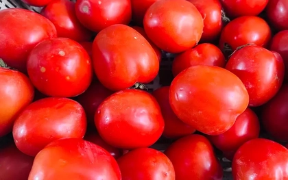 Cà chua tăng giá kỷ lục tại chợ Hà Nội: 85.000 đồng/kg vẫn bán sạch, bà nội trợ 'choáng váng'