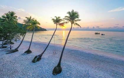 Việt Nam vươn lên trở thành điểm đến yêu thích dịp cuối năm