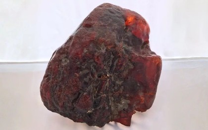 Hòn đá chặn cửa bất ngờ hóa thành bảo vật triệu đô