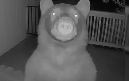 Nửa đêm thức giấc, người đàn ông bỗng phát hiện thứ "đáng sợ" ngoài cửa