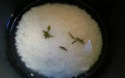 Nấu cơm hàng ngày nhưng nhiều người vẫn làm sai: Đây là 4 mẹo nấu ngon và tốt cho tiêu hóa