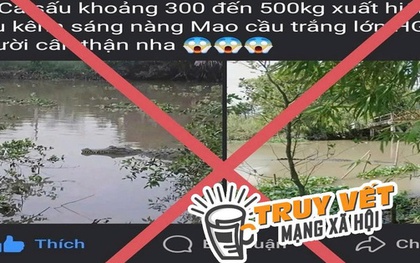 Bác bỏ thông tin lan truyền "cá sấu nặng khoảng 200-500 kg xuất hiện trên sông ở TP Cần Thơ"