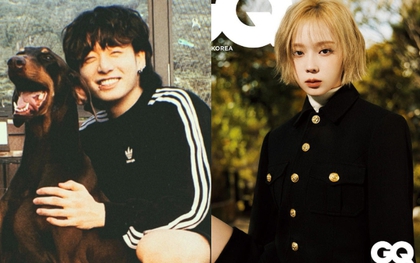 Phẫn nộ Jungkook (BTS) mải hẹn hò mỹ nhân aespa, bỏ rơi cún cưng?