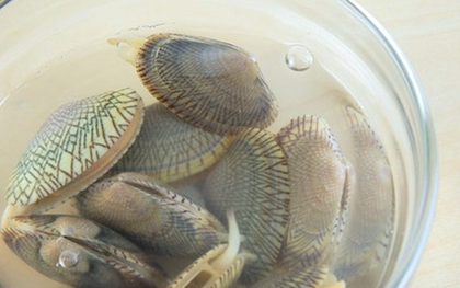 Tại sao ngao ốc đã nhả hết cát nên chờ thêm 30 phút rồi mới nấu?