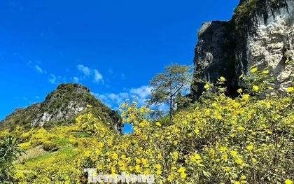 Tới Cao Bằng mùa này, du khách thốt lên: 'Đứng góc nào cũng có ảnh đẹp'