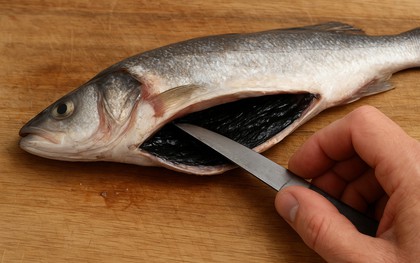 Lớp màng đen trong bụng cá có nên ăn hay phải cạo bỏ?
