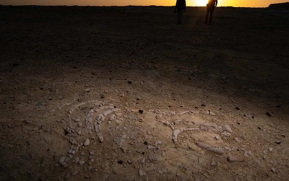 170 điểm chứa xương "nàng tiên cá" lộ ra giữa sa mạc Trung Đông