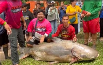 Người đàn ông bắt được “thủy quái” nặng 200kg trên sông