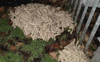 Dắt chó đi dạo, người đàn ông bắt gặp cảnh tượng bí ẩn