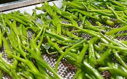 2 loại rau “khoái khẩu” mùa lạnh dễ thành ổ sán, đứng đầu bảng mâm cơm nhà nào cũng có