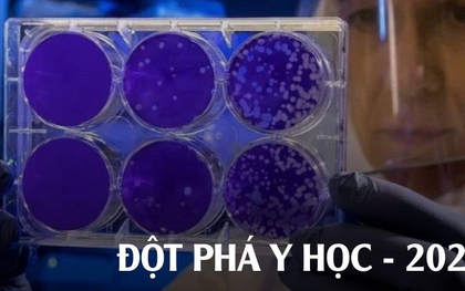 Những đột phá y học nổi bật năm 2025: Khi khoa học không còn ở phòng thí nghiệm mà bước thẳng vào đời sống