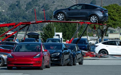 Công ty của Elon Musk bị kết án “tiếp thị lừa đảo”