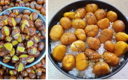 Hạt dẻ: Cái vị "vấp rồi nghiện" đang làm cả thế giới phát cuồng và Việt Nam cũng bắt trend không hề trượt