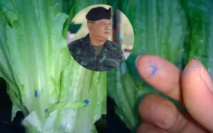 Bác sĩ quân y cảnh báo 6 thói quen "phá gan" nhanh khủng khiếp nhiều người làm mỗi ngày