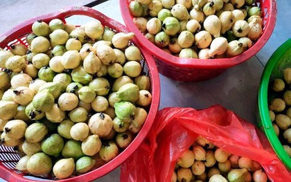 Quả quen mặt ở chợ Việt lọt top "chống oxy hóa tốt nhất thế giới", không mua phí của trời