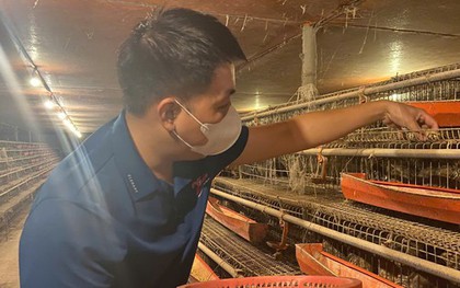 Từ hai bàn tay trắng, chàng trai trẻ trở thành triệu phú nhờ nuôi con "mắn đẻ"