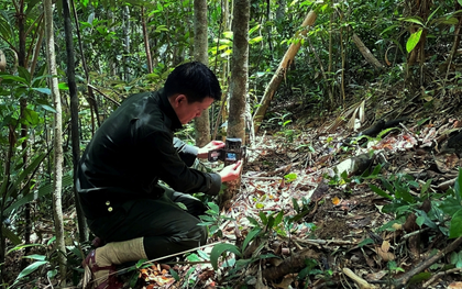 Phát hiện 1 loài cực kỳ quý hiếm, tưởng đã biến mất khỏi lãnh thổ Việt Nam: Sử dụng công nghệ cao, quy mô lớn chưa từng có