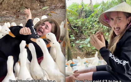 Cô gái Tây la hét thất thanh khi thử 1 trò chơi độc lạ ở Việt Nam