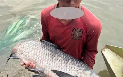 Người dân bắt được nhiều cá 'khủng' sau khi thủy điện Trị An ngưng xả tràn