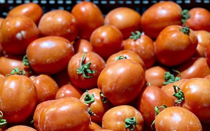 Thứ quả từng "rẻ như cho" nay khiến người mua choáng váng vì giá đắt đỏ