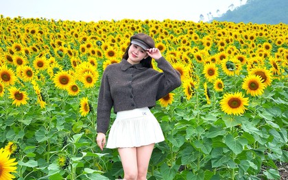 Bạn trẻ check-in ‘biển hoa mặt trời’ lớn nhất Việt Nam