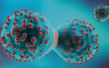 Australia phát hiện “công tắc” giúp tế bào ung thư né tránh hệ miễn dịch