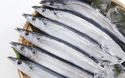 Top 4 hải sản chứa nhiều thủy ngân bậc nhất