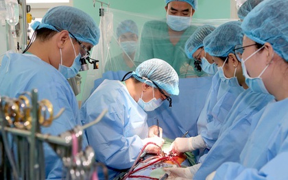 Bệnh viện thông tin về ca ghép gan và tim lấy từ người cho chết não tại TPHCM