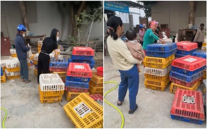 Người đàn ông Hà Nội đi mua 600 con vịt về phát cho người lạ mừng "Việt Nam vô địch": Phản ứng của vợ thế nào?