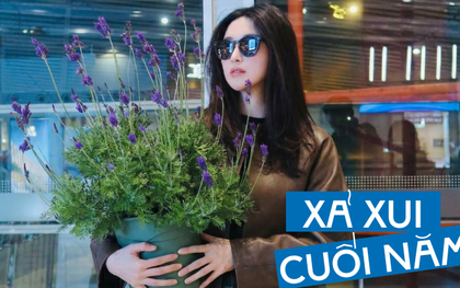 Loài hoa đáng trồng nhất ban công dịp cuối năm: Vừa thơm phòng, ngủ ngon lại âm thầm hút vận may, xả xui cực tốt