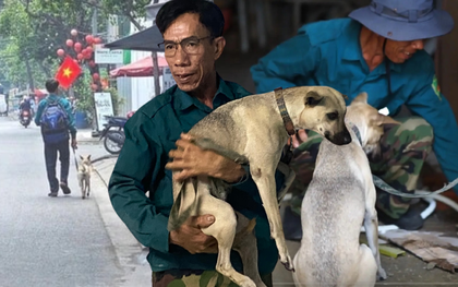 Phía sau bức ảnh người đàn ông lang thang cùng chú chó ở TP.HCM, xin việc hơn 30 công trình đều bị từ chối