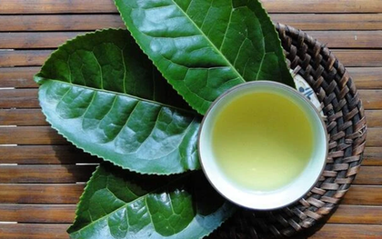 Loại nước được ví như "thần dược" cho sức khỏe và sắc đẹp, ở quê mọc um tùm trên đồi