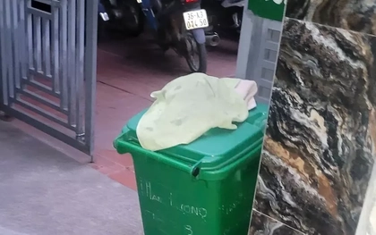 Xác minh vụ bé nam sơ sinh tử vong trong thùng rác ở Bắc Ninh