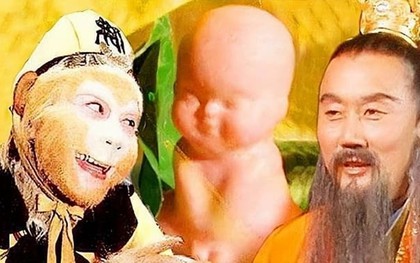 Vì sao trong Tây Du Ký chỉ Bồ Tát cứu được cây nhân sâm bị Ngộ Không quật ngã?