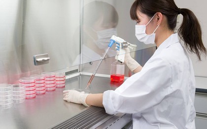 Từ axit amin đến những bước tiến y học: Ajinomoto đã vượt ra ngoài phạm vi gian bếp như thế nào?