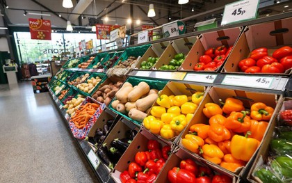 Loại rau nhiều vitamin C hơn cả chanh, báo Anh khen nức nở: Người Việt trồng lãi hàng trăm triệu