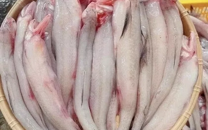 Phát hiện nhiều khu chợ bán cá cháo có chứa chất cấm